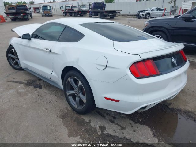 Photo 2 VIN: 1FA6P8AM1F5375435 - FORD MUSTANG 