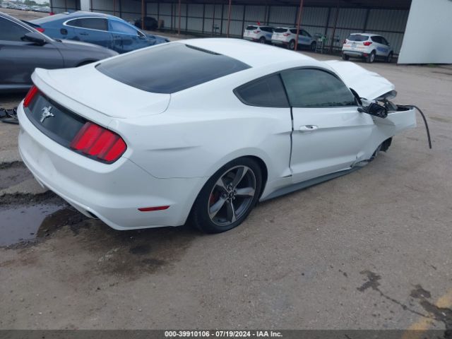 Photo 3 VIN: 1FA6P8AM1F5375435 - FORD MUSTANG 