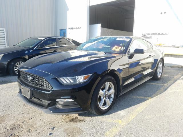 Photo 1 VIN: 1FA6P8AM1F5378254 - FORD MUSTANG 