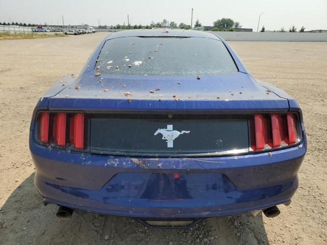 Photo 5 VIN: 1FA6P8AM1G5223995 - FORD MUSTANG 