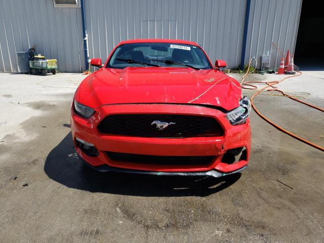 Photo 4 VIN: 1FA6P8AM1G5253692 - FORD MUSTANG 