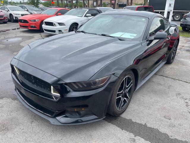 Photo 1 VIN: 1FA6P8AM1G5259248 - FORD MUSTANG 