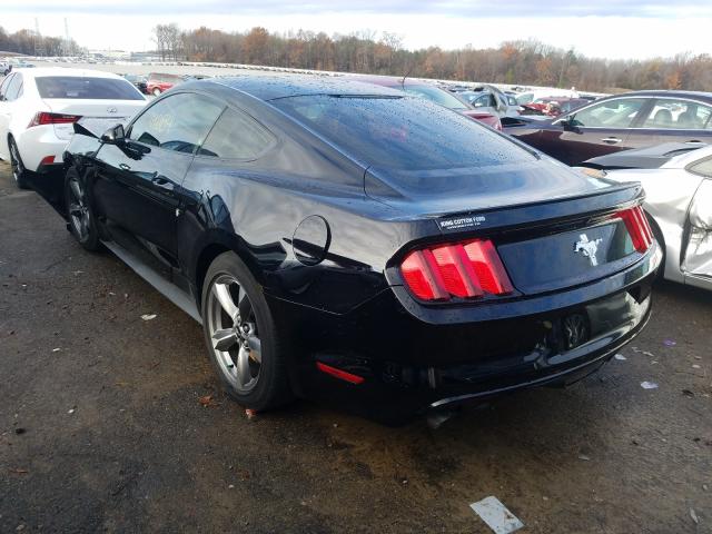 Photo 2 VIN: 1FA6P8AM1G5264899 - FORD MUSTANG 