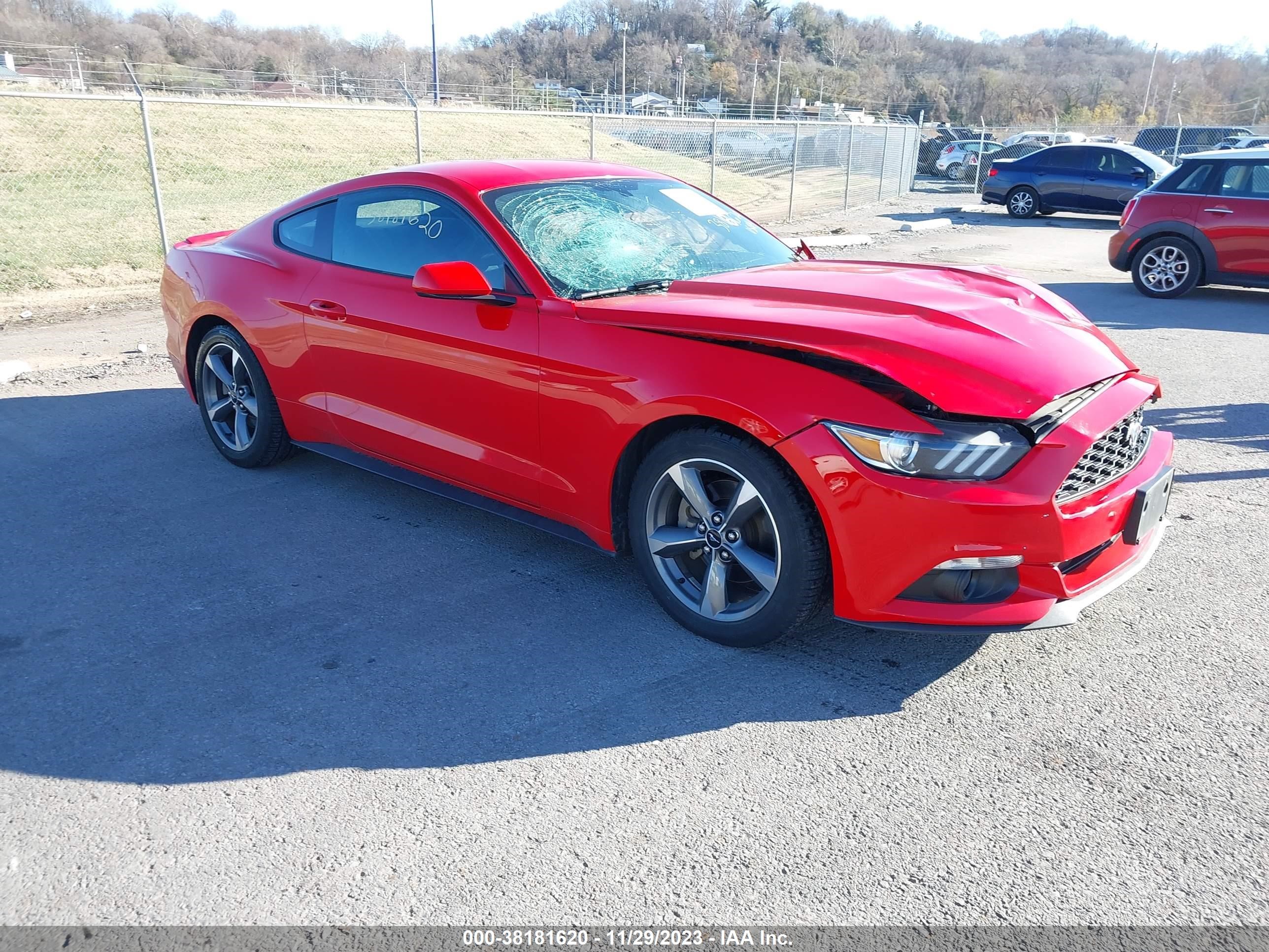 Photo 0 VIN: 1FA6P8AM1G5272047 - FORD MUSTANG 