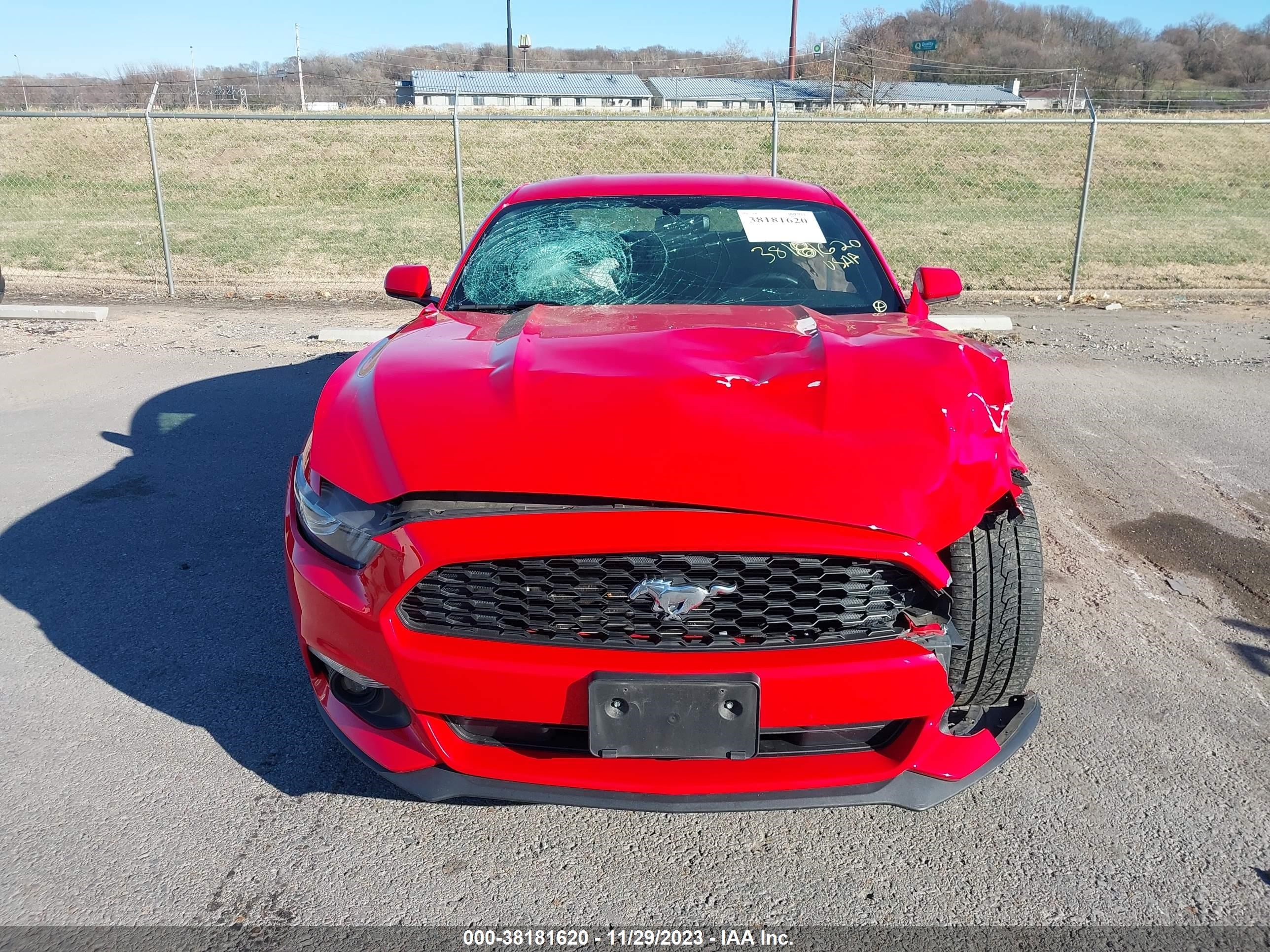 Photo 11 VIN: 1FA6P8AM1G5272047 - FORD MUSTANG 