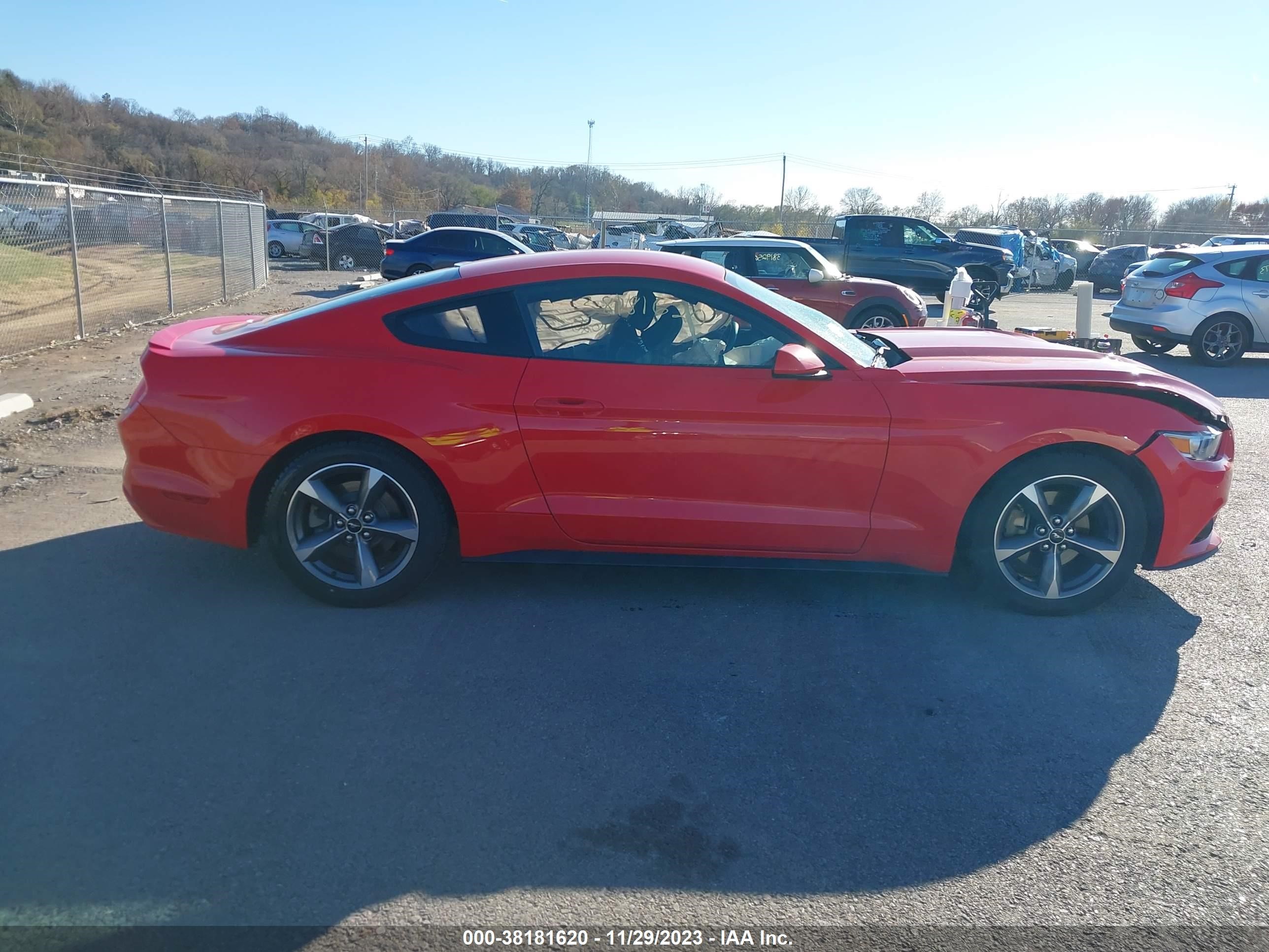 Photo 12 VIN: 1FA6P8AM1G5272047 - FORD MUSTANG 