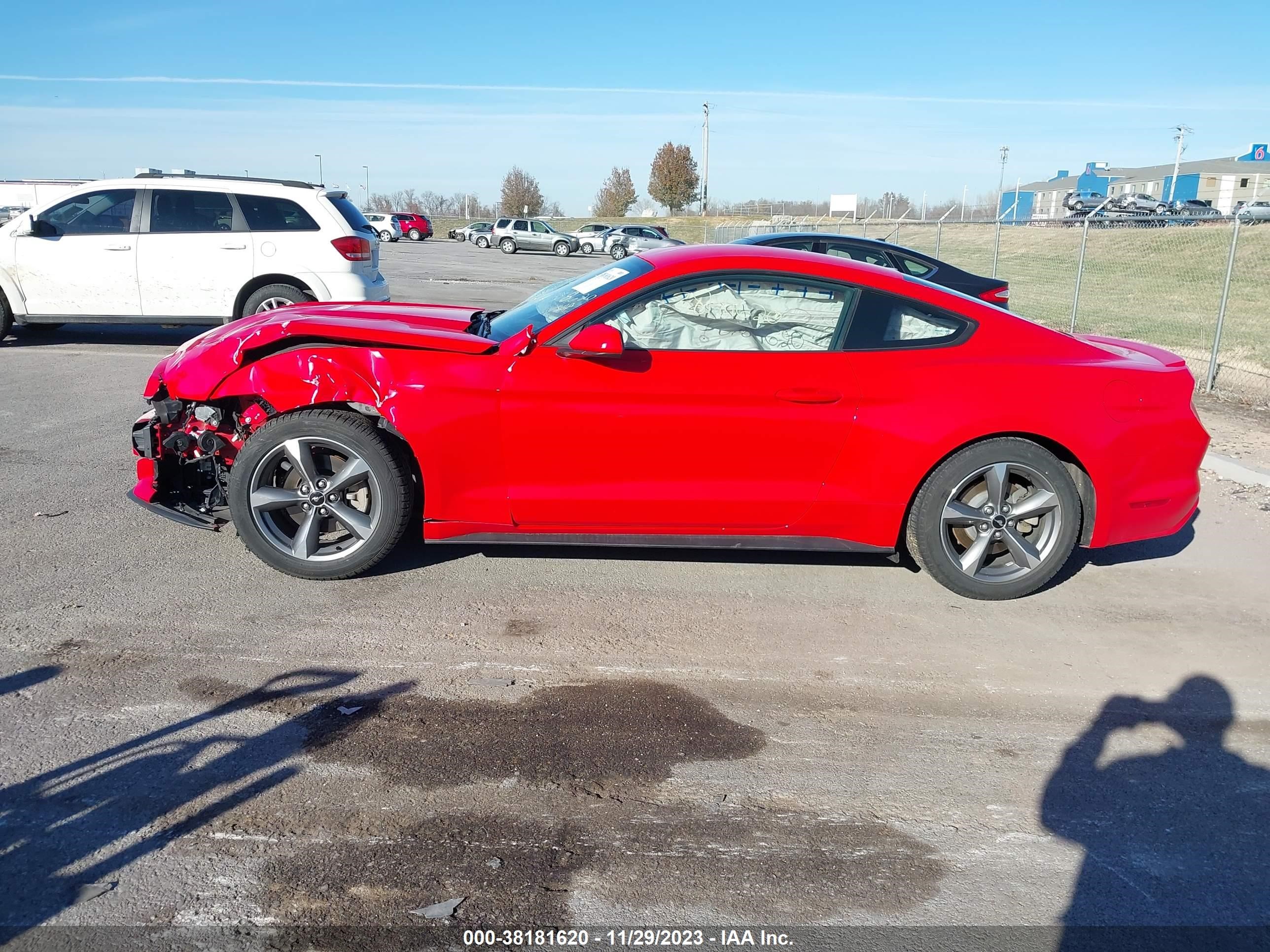 Photo 13 VIN: 1FA6P8AM1G5272047 - FORD MUSTANG 