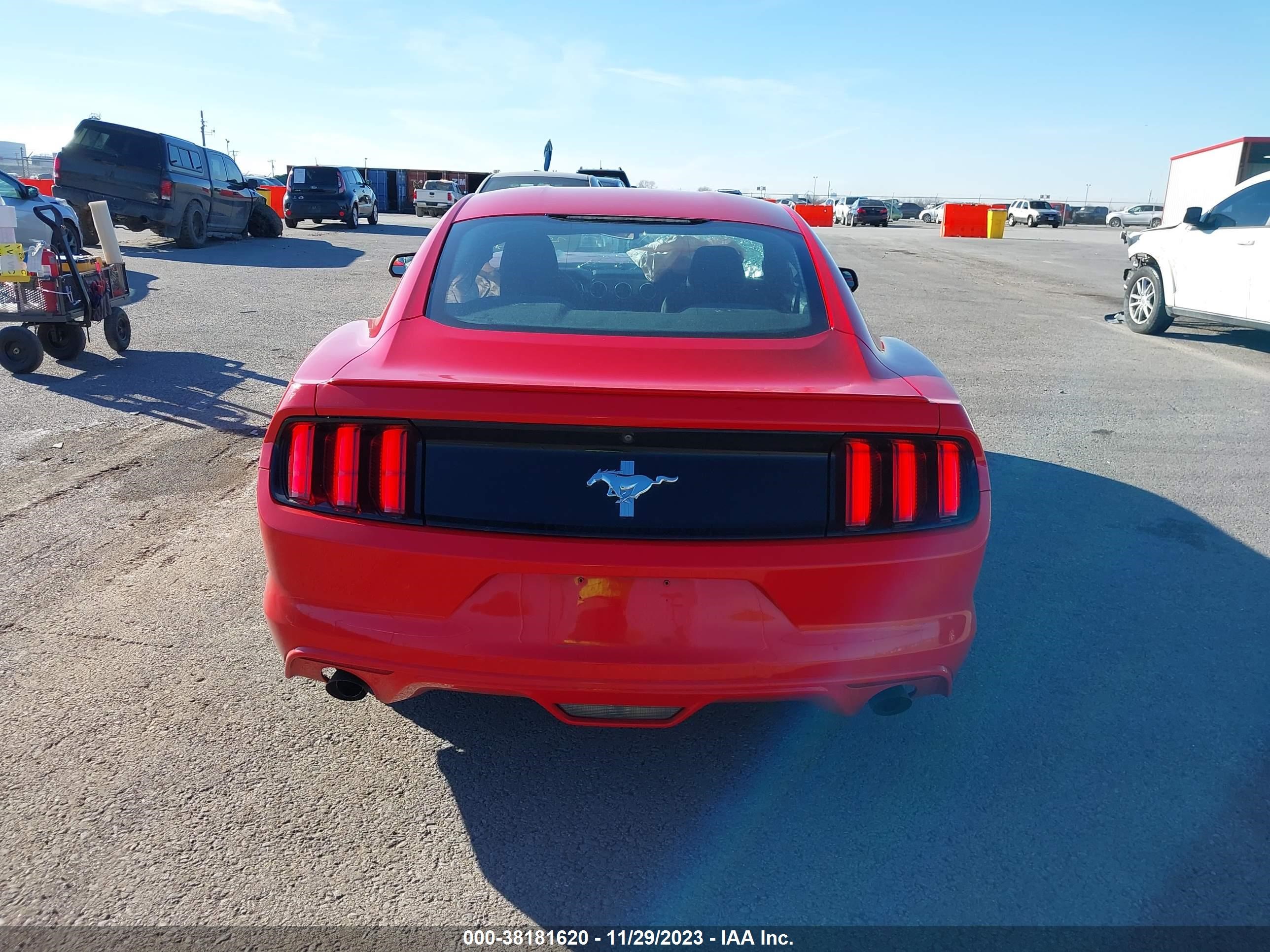 Photo 15 VIN: 1FA6P8AM1G5272047 - FORD MUSTANG 