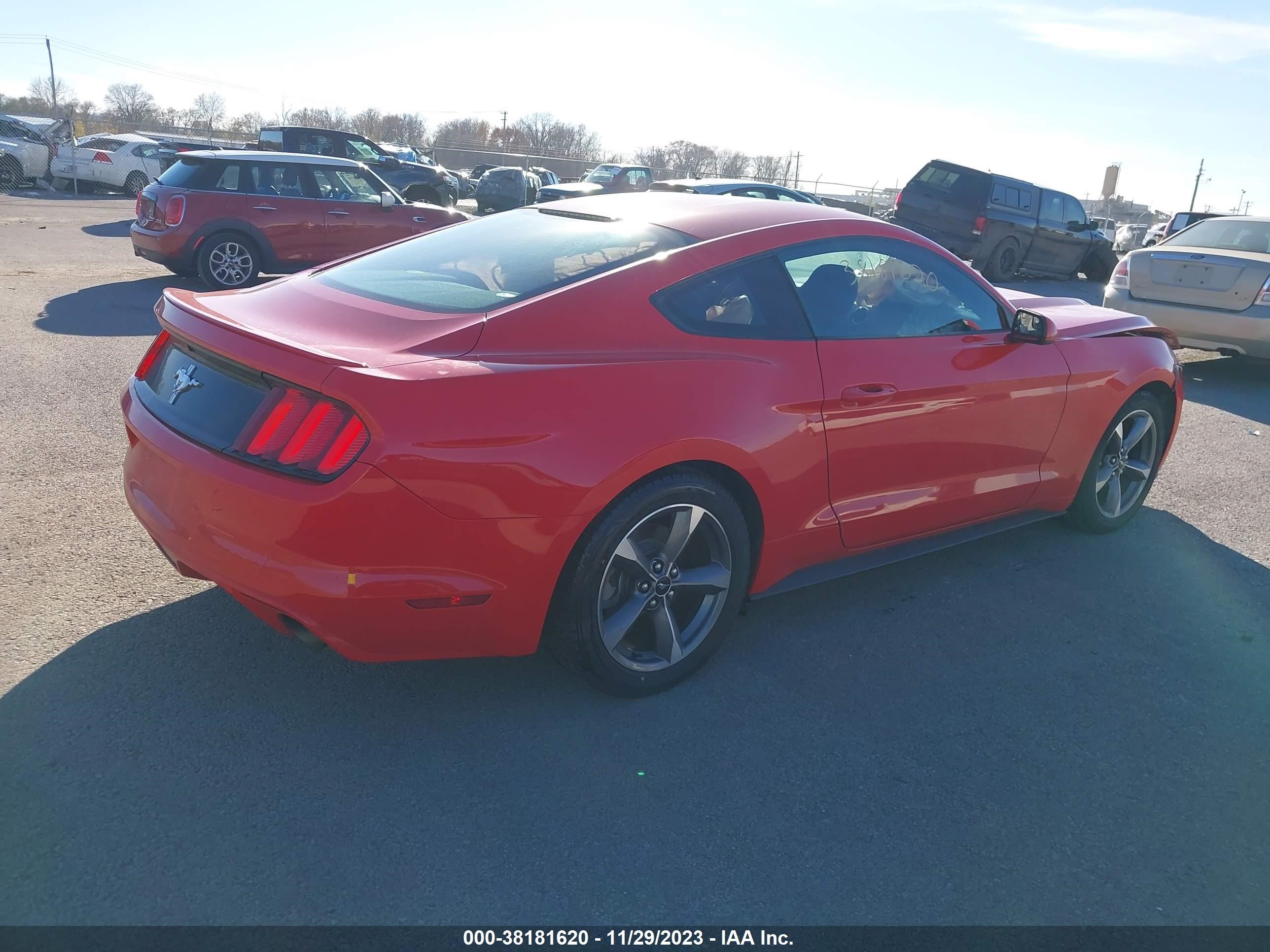 Photo 3 VIN: 1FA6P8AM1G5272047 - FORD MUSTANG 