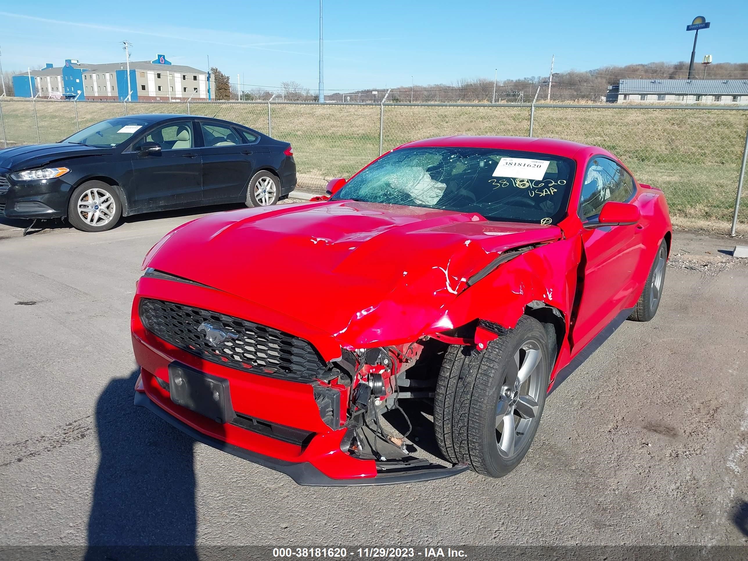 Photo 5 VIN: 1FA6P8AM1G5272047 - FORD MUSTANG 