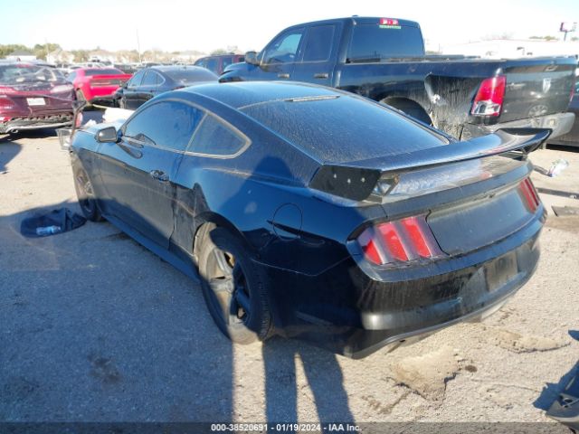 Photo 2 VIN: 1FA6P8AM1G5295084 - FORD MUSTANG 