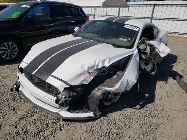 Photo 1 VIN: 1FA6P8AM1H5231158 - FORD MUSTANG 