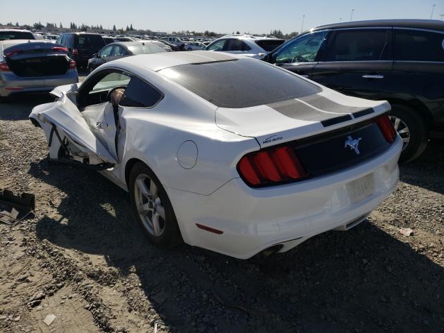 Photo 2 VIN: 1FA6P8AM1H5231158 - FORD MUSTANG 