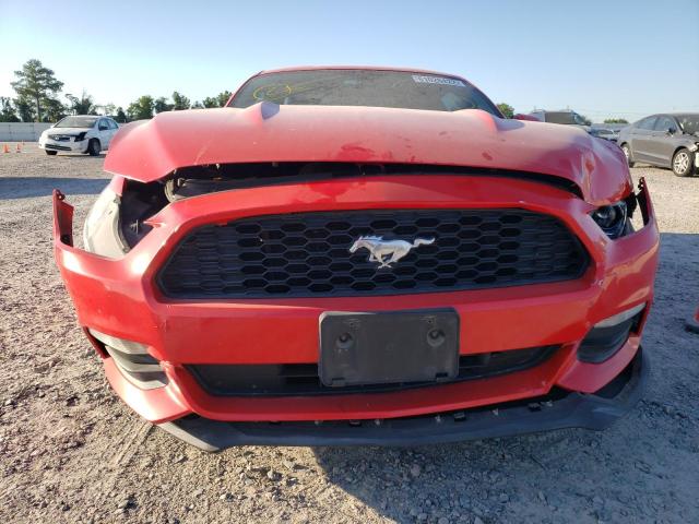 Photo 8 VIN: 1FA6P8AM1H5249921 - FORD MUSTANG 