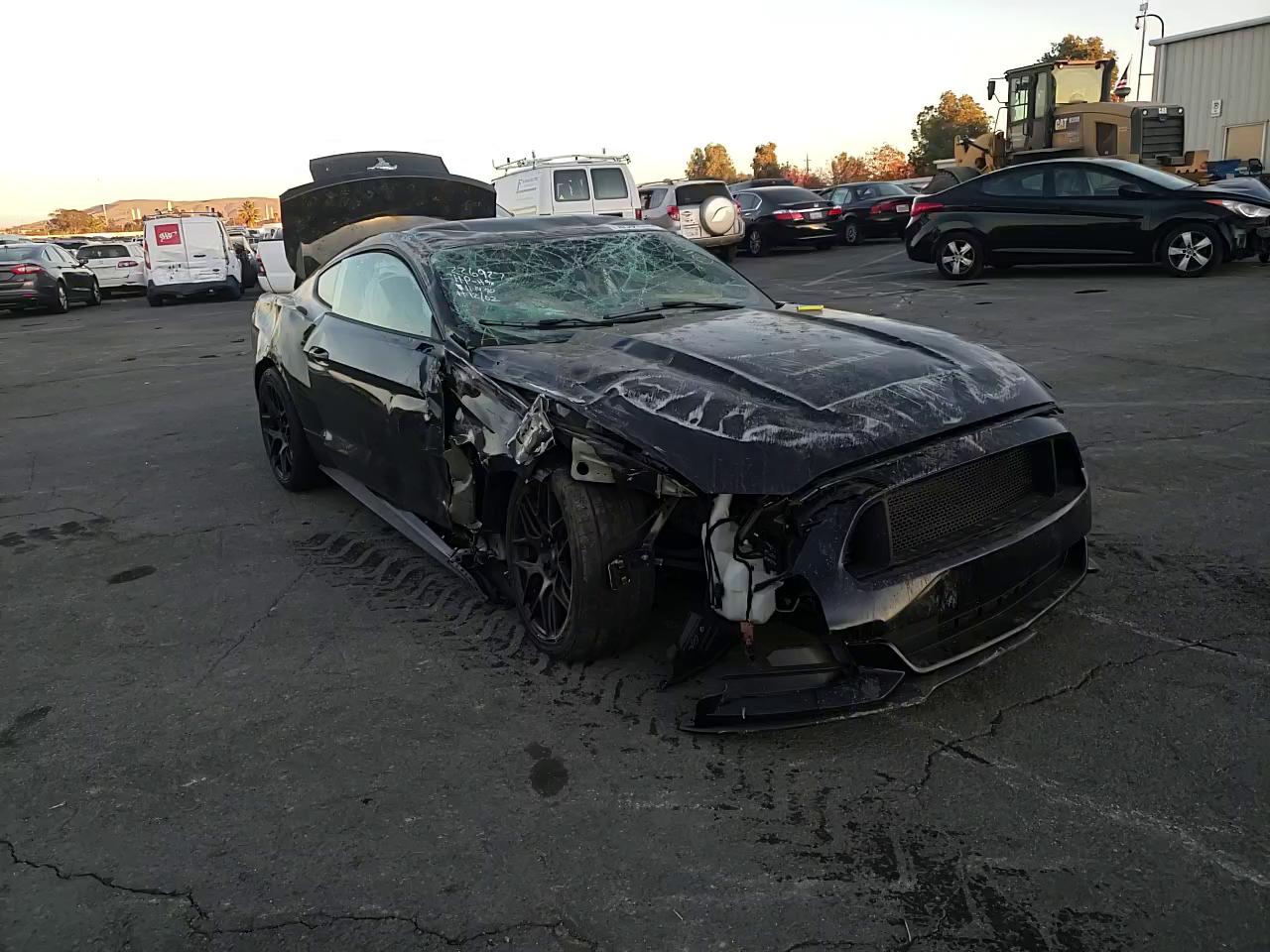 Photo 10 VIN: 1FA6P8AM1H5266413 - FORD MUSTANG 