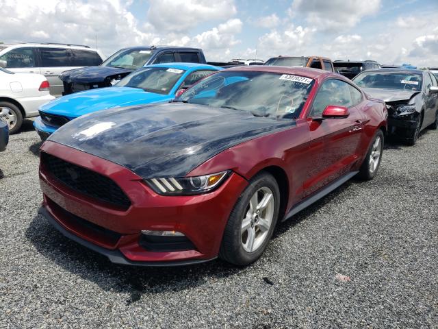 Photo 1 VIN: 1FA6P8AM1H5269859 - FORD MUSTANG 