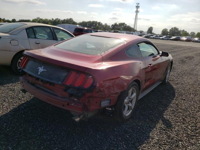 Photo 3 VIN: 1FA6P8AM1H5269859 - FORD MUSTANG 