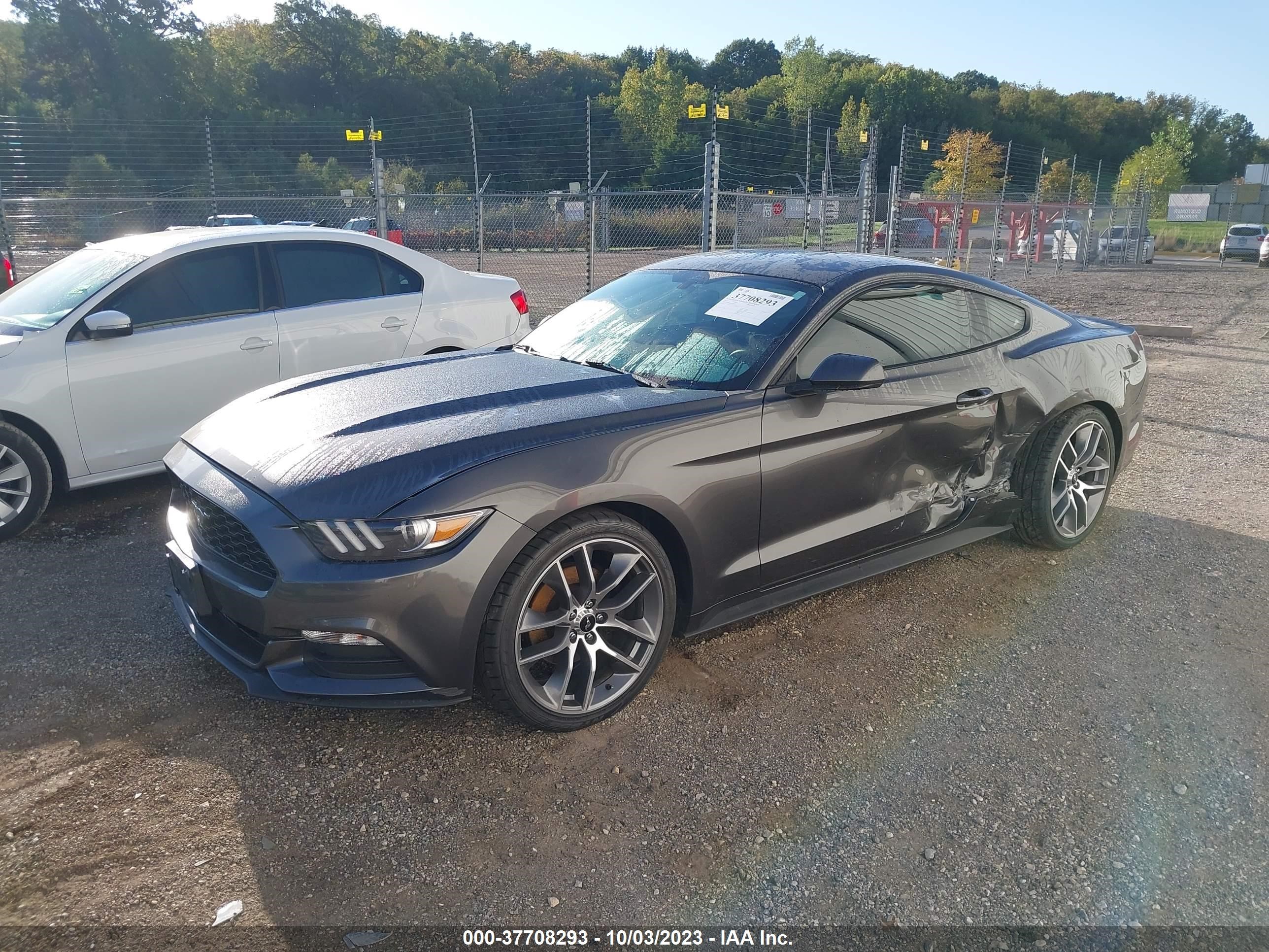 Photo 1 VIN: 1FA6P8AM1H5309339 - FORD MUSTANG 