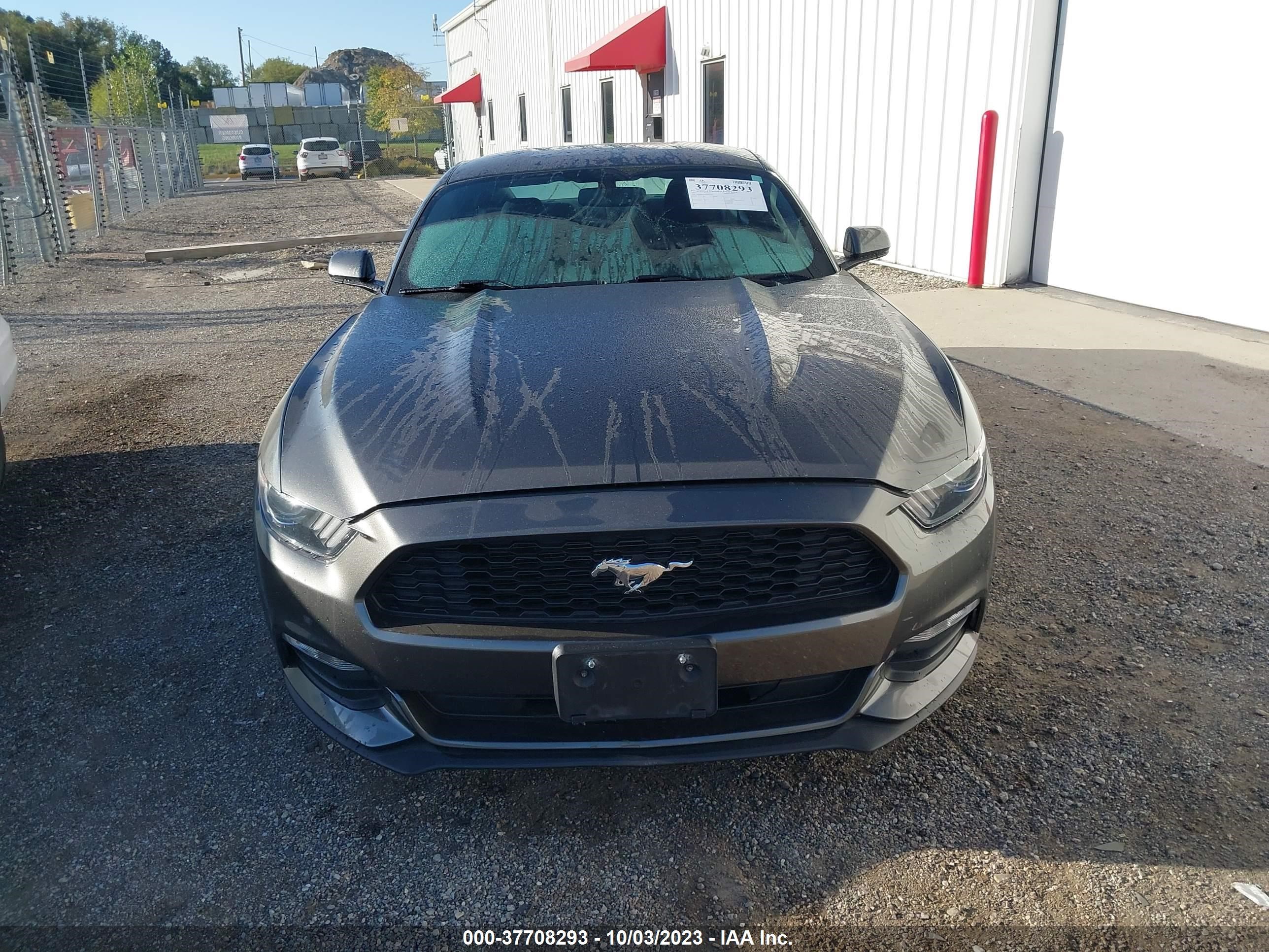 Photo 11 VIN: 1FA6P8AM1H5309339 - FORD MUSTANG 