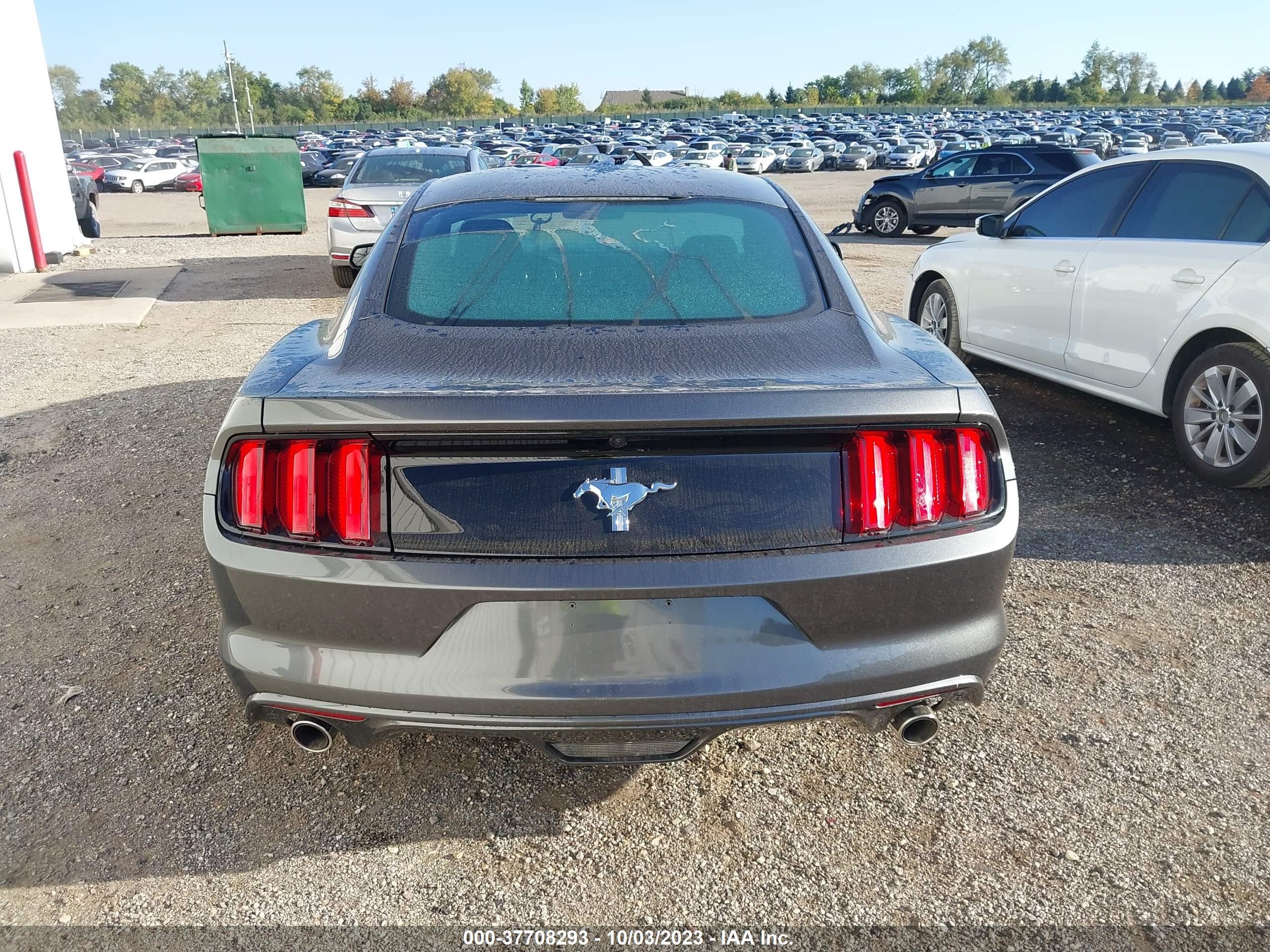 Photo 15 VIN: 1FA6P8AM1H5309339 - FORD MUSTANG 