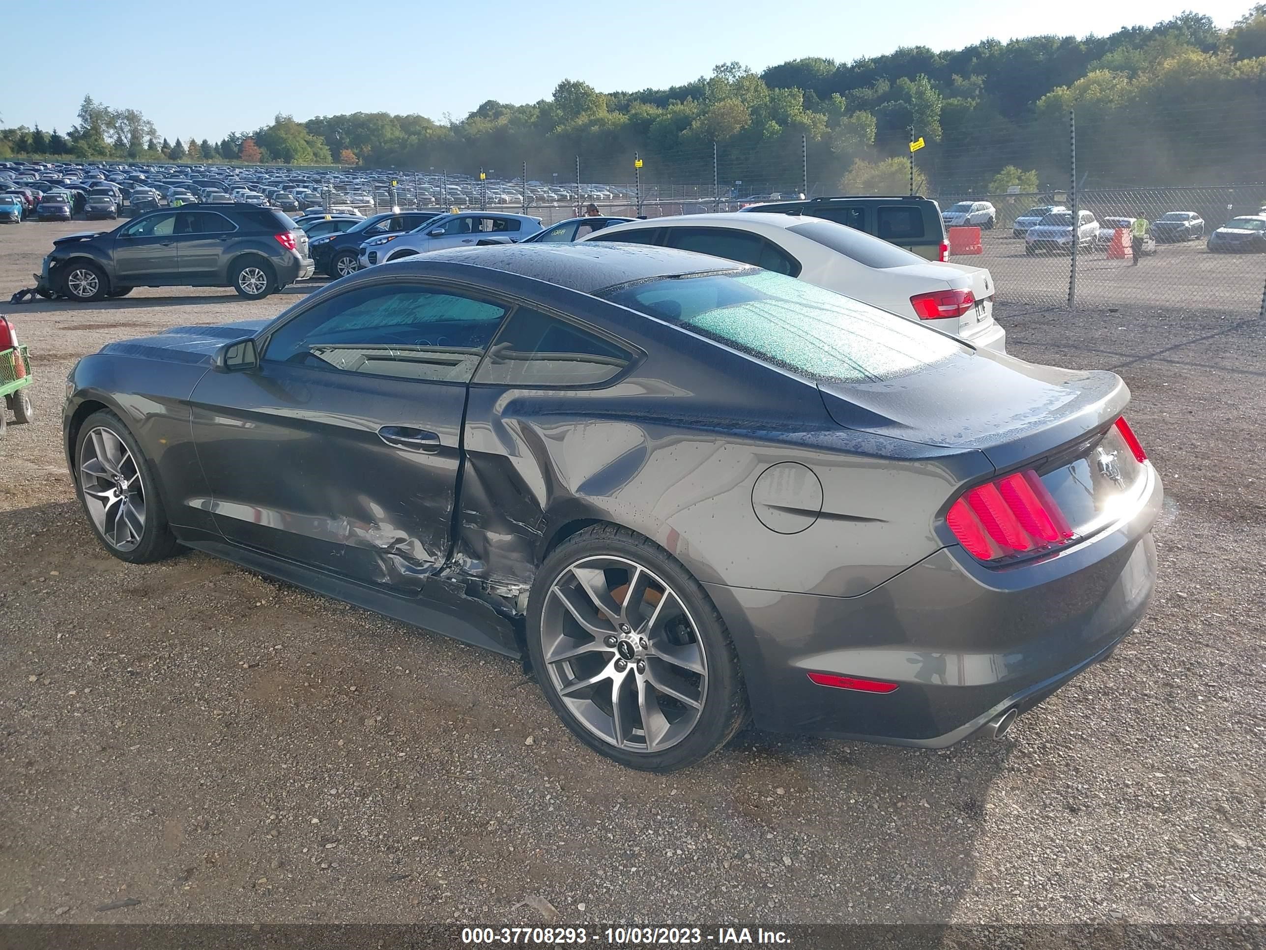 Photo 2 VIN: 1FA6P8AM1H5309339 - FORD MUSTANG 