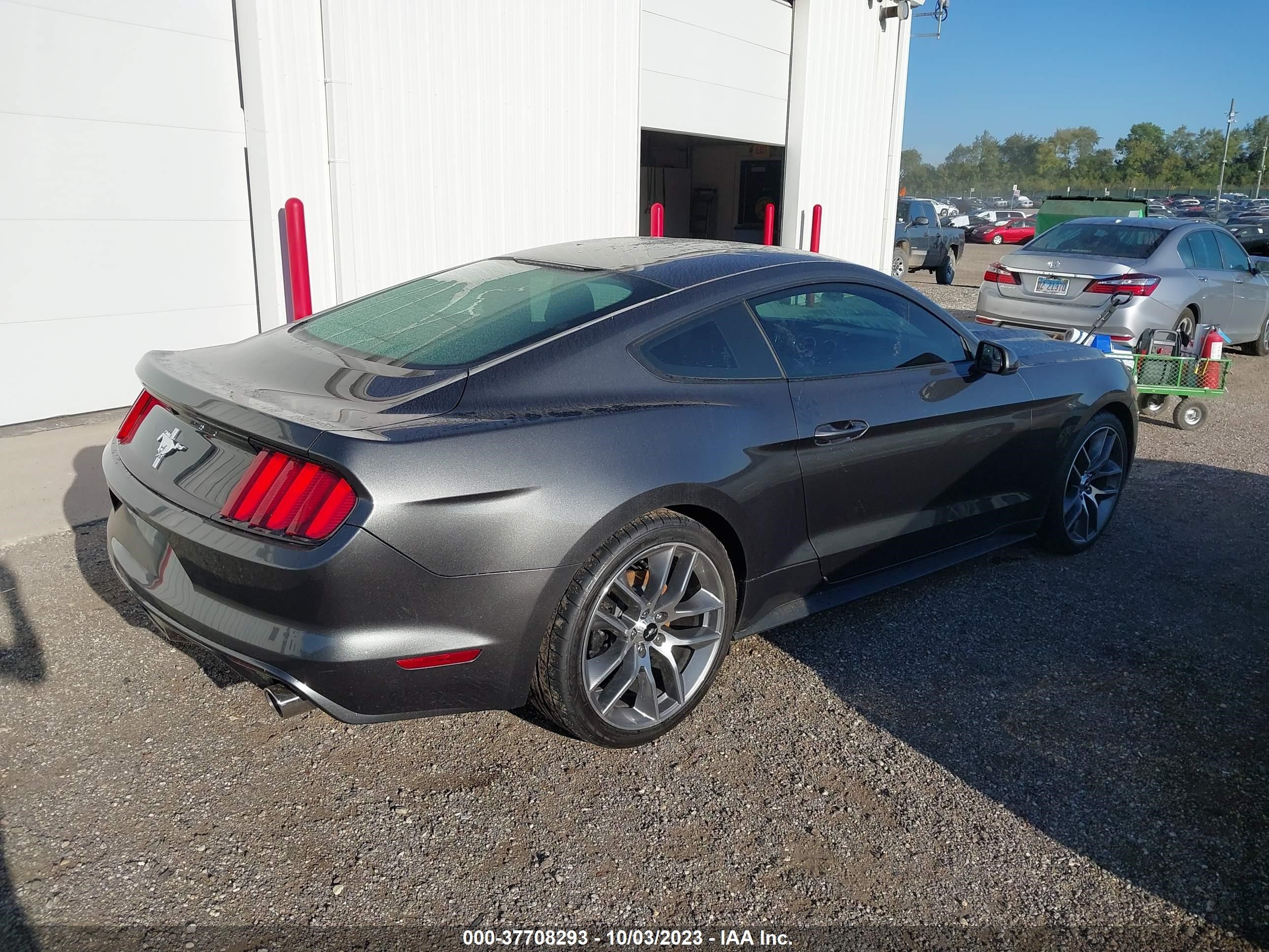 Photo 3 VIN: 1FA6P8AM1H5309339 - FORD MUSTANG 