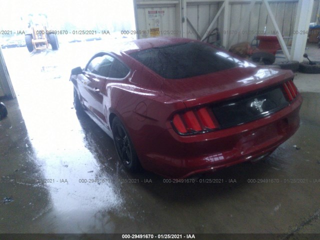 Photo 2 VIN: 1FA6P8AM1H5328313 - FORD MUSTANG 