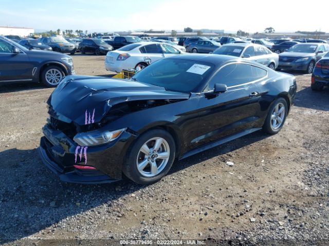 Photo 1 VIN: 1FA6P8AM1H5328408 - FORD MUSTANG 