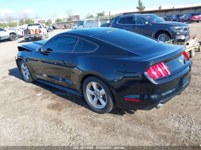 Photo 2 VIN: 1FA6P8AM1H5328408 - FORD MUSTANG 