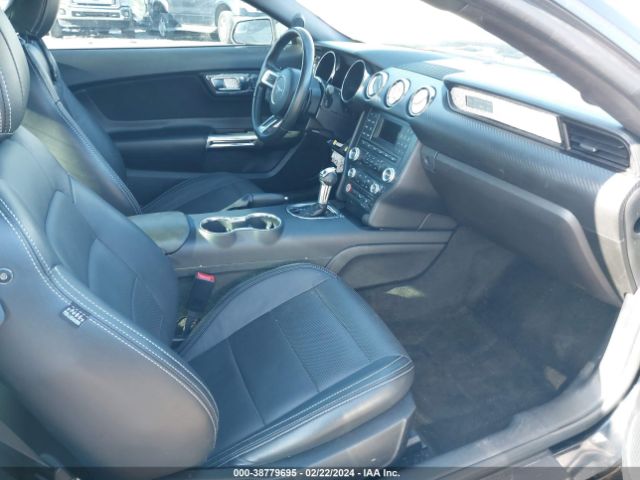 Photo 4 VIN: 1FA6P8AM1H5328408 - FORD MUSTANG 