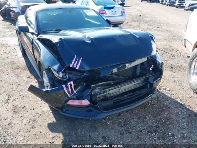 Photo 5 VIN: 1FA6P8AM1H5328408 - FORD MUSTANG 