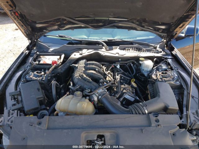 Photo 9 VIN: 1FA6P8AM1H5328408 - FORD MUSTANG 