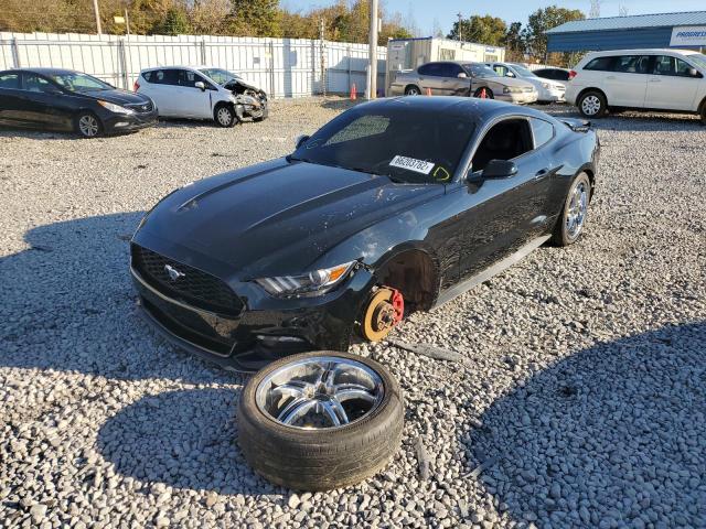 Photo 1 VIN: 1FA6P8AM1H5335309 - FORD MUSTANG 