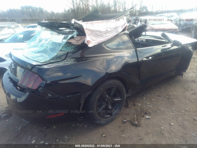 Photo 3 VIN: 1FA6P8AM1H5345774 - FORD MUSTANG 