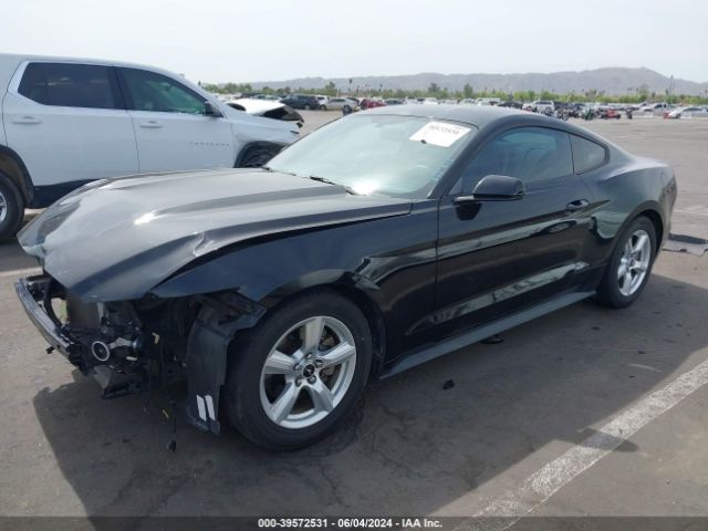 Photo 1 VIN: 1FA6P8AM2F5319276 - FORD MUSTANG 