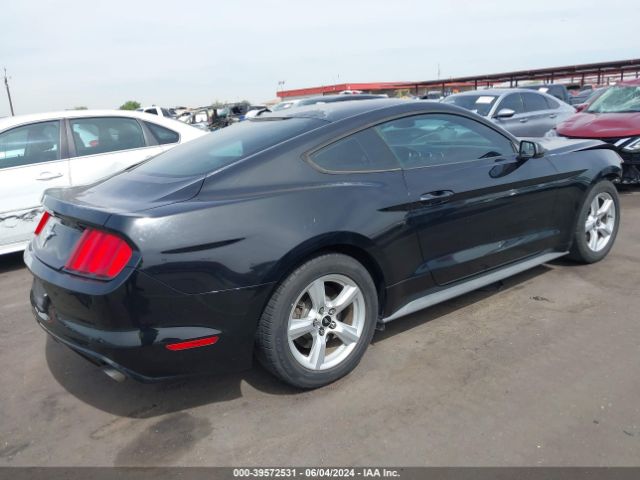 Photo 3 VIN: 1FA6P8AM2F5319276 - FORD MUSTANG 