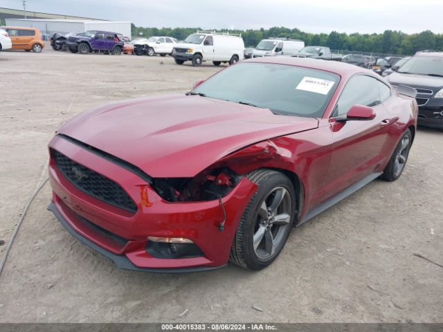 Photo 1 VIN: 1FA6P8AM2F5336787 - FORD MUSTANG 