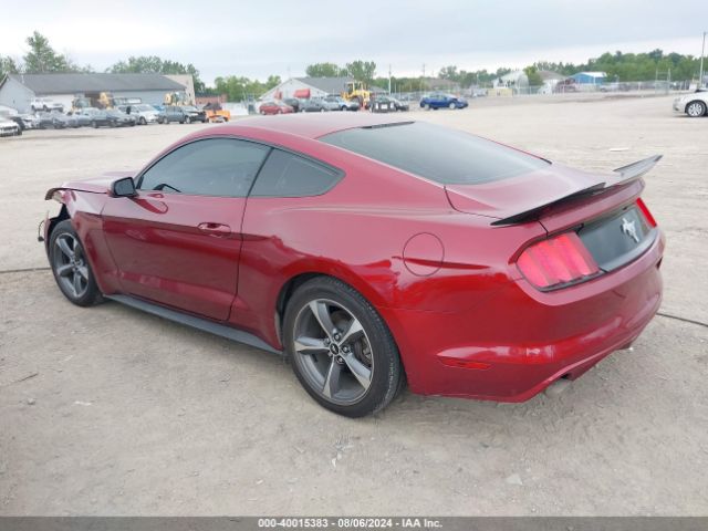 Photo 2 VIN: 1FA6P8AM2F5336787 - FORD MUSTANG 