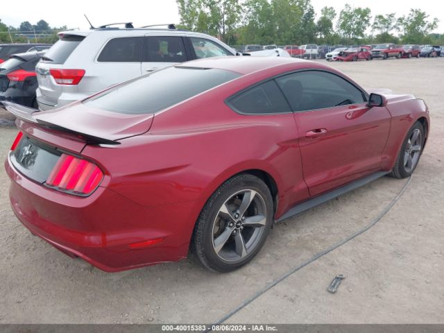 Photo 3 VIN: 1FA6P8AM2F5336787 - FORD MUSTANG 