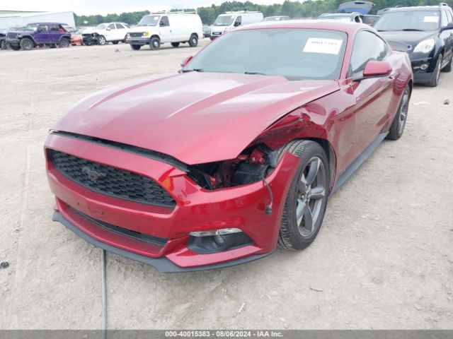 Photo 5 VIN: 1FA6P8AM2F5336787 - FORD MUSTANG 