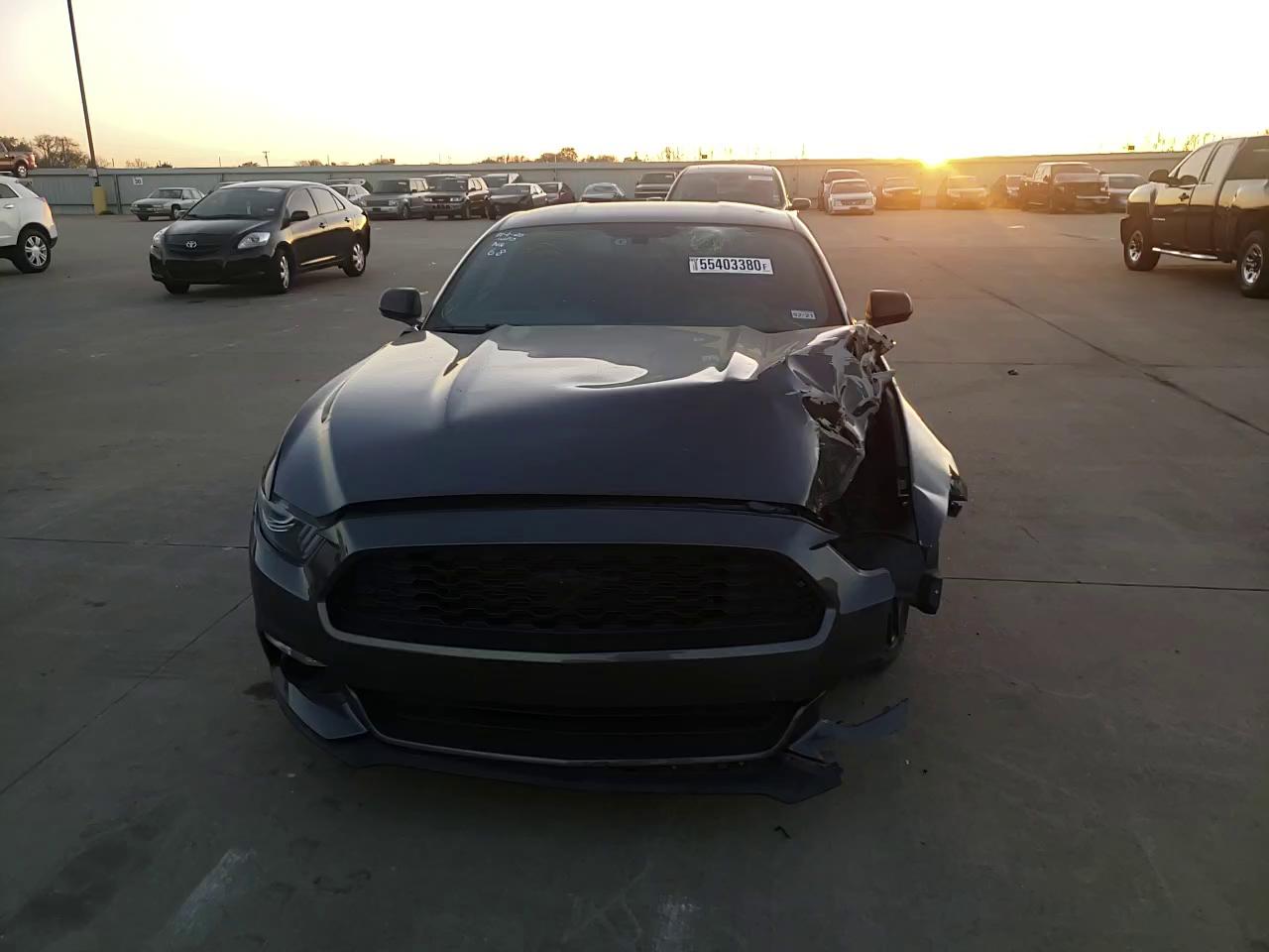 Photo 10 VIN: 1FA6P8AM2F5338135 - FORD MUSTANG 