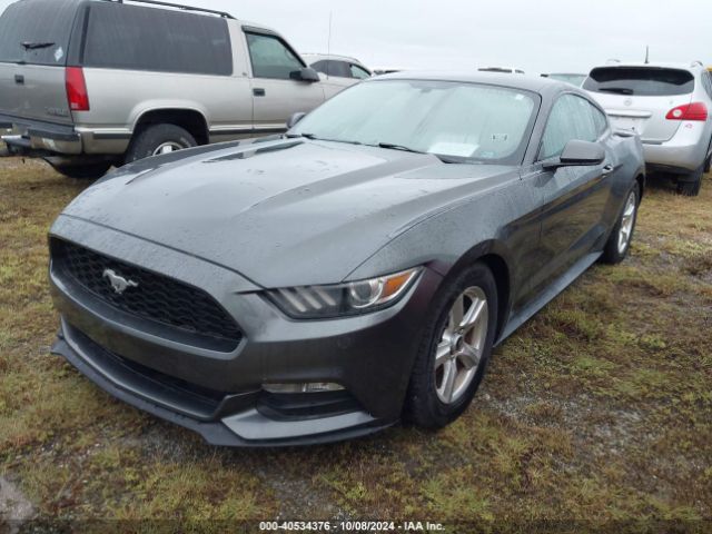 Photo 1 VIN: 1FA6P8AM2F5347496 - FORD MUSTANG 