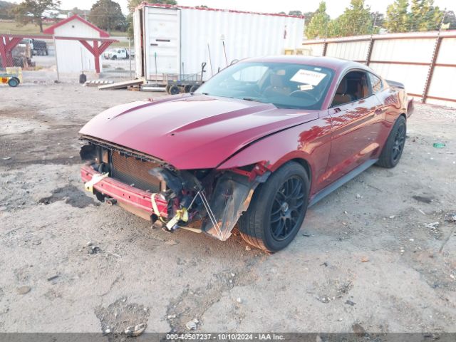 Photo 1 VIN: 1FA6P8AM2F5355243 - FORD MUSTANG 