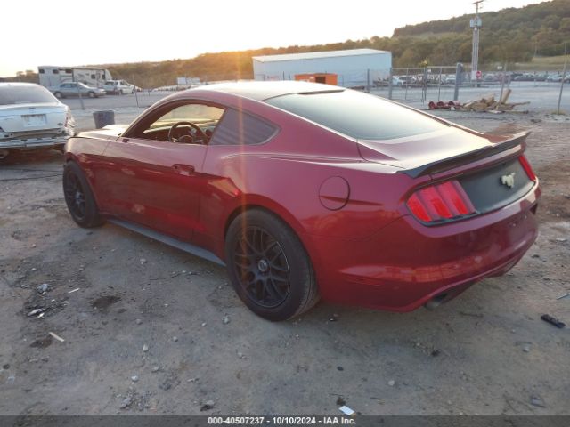 Photo 2 VIN: 1FA6P8AM2F5355243 - FORD MUSTANG 