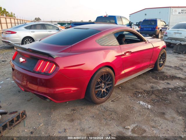 Photo 3 VIN: 1FA6P8AM2F5355243 - FORD MUSTANG 