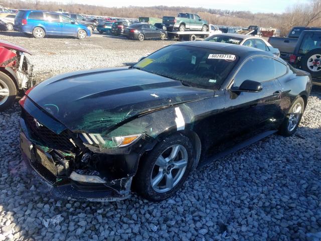 Photo 1 VIN: 1FA6P8AM2F5369935 - FORD MUSTANG 