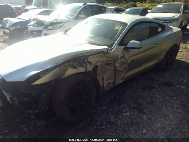 Photo 5 VIN: 1FA6P8AM2F5381910 - FORD MUSTANG 