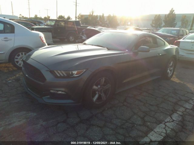 Photo 1 VIN: 1FA6P8AM2F5396181 - FORD MUSTANG 