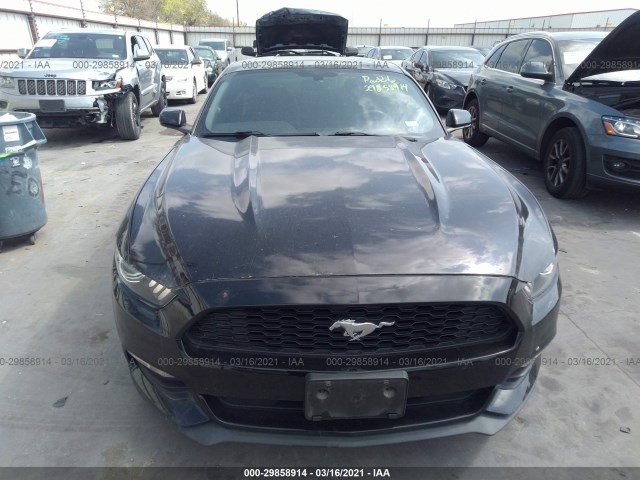 Photo 5 VIN: 1FA6P8AM2F5403324 - FORD MUSTANG 