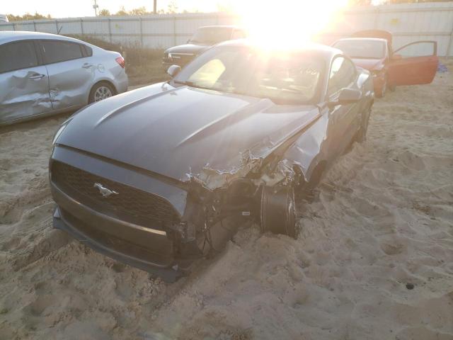 Photo 1 VIN: 1FA6P8AM2G5210124 - FORD MUSTANG 